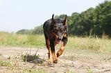 BEAUCERON 036